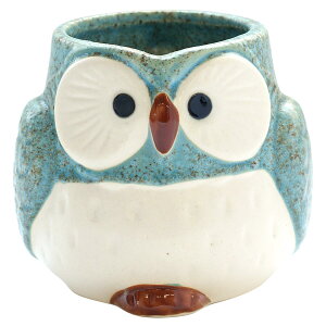 җj  a 50 }O Jbv Z  y pXe ӂ낤 }OJbv Pi z ̓ Mtg ΂ Ďj ۂ ӂ낤   R[q[Jbv җ Ê 