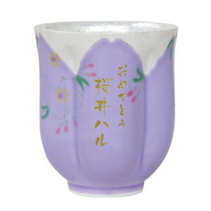 Ď j Lc ̂ y  ˔ ^  z ̂ݒq   ꂳ c60 70 80  LO a ̂  O җ Ê  P Ď 