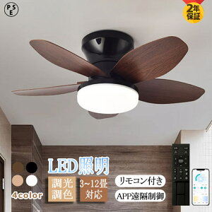 V[Ot@Cg LED 5H ^ y  F ʒ dc[^[ 6 k ؖڒ i` ΍ @ hV̓v[g ̓ ̓ 