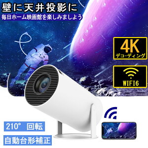 vWFN^[ ƒp ^ 4KΉ \ `␳ HDMIP[u HIFIXs[J[ V䓊e z[VA^[ NX}X v[g