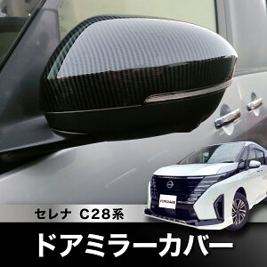 Zi C28 hA~[ TCh~[ Jo[ ubN J[{  EZbg hXAbv O JX^p[c 