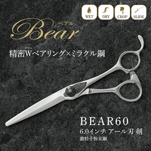 12/4-11 SS10BEAR60 SG2 q| i~N|j { et et nT~ e vdl U  epi ugJbg hCJbg VU[ nCX| x| EF