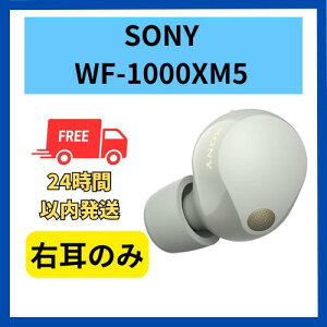 �y�ǂ��z�E���̂� �\�j�[ WF-1000XM5 �o�[�W���� 6.1.0 �v���`�i�V���o�[ �������K�i �����i �E�� �������� ���� �y�A�����O ���C�����X ���C�����X�C���z�� m5 ���Z�b�g �y�A�����O �Б� �Ў� �P