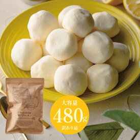 【12月22日から順次発送】ギフト ショコリッシュ ギフト 生チョコ 義理チョコ 職場 大量 会社 スイーツ チョコ 生チョコアイス 個包装 チョコレート トリュフ 大容量 いちごミルク 抹茶あずき 瀬戸内レモン リッチショコラ 訳ありショコリッシュ