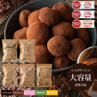 【3月14日から順次発送】ギフト ショコリッシュ 自分チョコ 生チョコ 義理チョコ 職場 大量 会社 スイー…