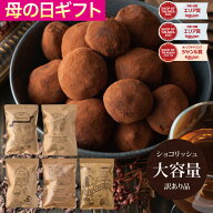 【4月11日から順次発送】母の日 2026 ギフト ショコリッシュ 自分チョコ 生チョコ 義理チョコ 職場 大量 …