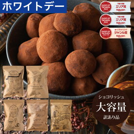 【2月16日から順次発送】ホワイトデー 2026 ギフト ショコリッシュ 自分チョコ 生チョコ 義理チョコ 職場 大量 会社 スイーツ チョコ 生チョコアイス 個包装 チョコレート トリュフ 大容量 いちごミルク 抹茶あずき 瀬戸内レモン リッチショコラ 訳ありショコリッシュ