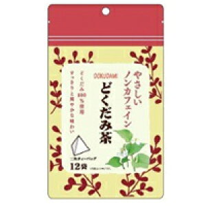 mJtFC@ǂݒ 12܁@4571104431770