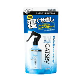 ギャツビー　寝ぐせ直しウォーター　詰替用　250ml　4902806102628