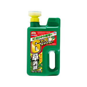 A[XK[f@܁@A[XJ}CY@Ł@WEwbh@2L@4901080291714