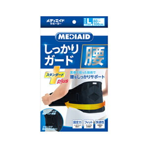 fBGChT|[^[ K[h  X^_[hvX@LTCY@1@4946452071266