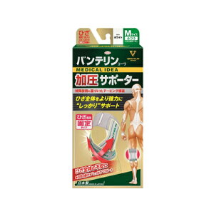 oeR[@T|[^[@Ђp@zCg@MTCY@4987067297306