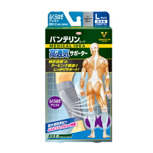 KOWA a oeR[ ʋCT|[^[ ӂ͂AVXg 傫/LTCY Vo[O[ i2j@4987067243204