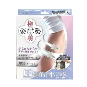 【送料無料!】 向日葵 極美姿勢 きわみしせい Sサイズ 滑車式サポーター 男女兼用 4582549522800