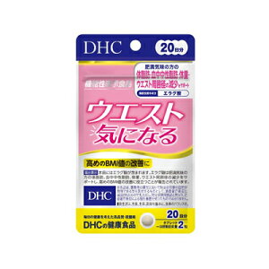 DHC EGXgCɂȂ 20(40) 4511413406267