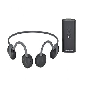 yIz `Cz{WiBluetooth/USB[d/ی쓙IPX6j (񂹕i)@4971275317000