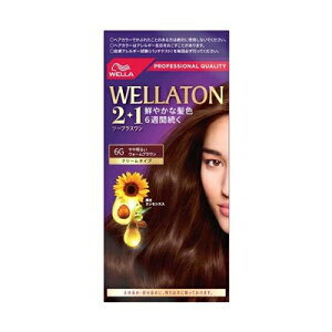 EGg[2+1 N[^Cv 6G ▾邢EH[uE@1@y򕔊Oiz@4056800250981