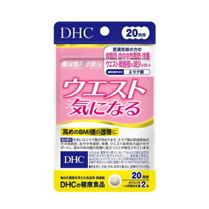 y[֑zDHC EGXgCɂȂ 20(40)@4511413406267