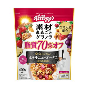 AiA݌Ɍ PbO fނ܂邲ƃOm 70It 400g ܖ2026N2܂ 4901113521863