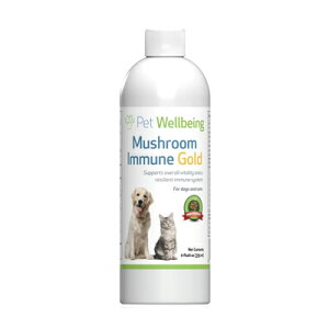 y!z Pet Wellbeing t̃Tvg Mushroom Immune Gold ypz 237ml@0661822001127