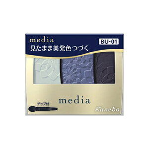 Jl{E@fBA@OfJ[ACVhEN@BU-01@3.1g@4973167707920