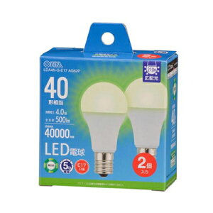 ()I[d@ LEDd `i40`/F/500lm/4.0W/E17/Lz210°/`Ή/fMގ{HΉ/2j i񂹕ij@4971275655430