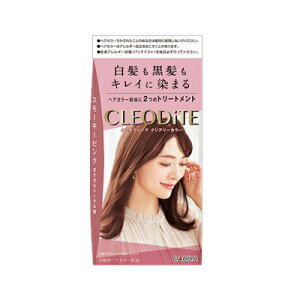 _ NIfB[e NA[J[ p X[L[sN@4904651123971