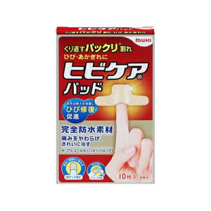 �y�Ǘ���Ë@��z�q�r�P�A�p�b�h 10�����@4987426003234