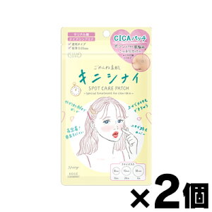 y[֑zNA^[ ߂ˑf LjViCpb` 46×2Zbg@4971710560275*2