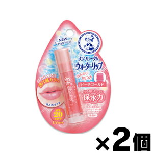 y[֑z\[^@EH[^[bv@s[`S[h@4.5g×2Zbg@4987241132874*2