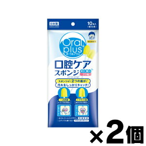 y[֑zI[vX oPAX|W v 10{×2Zbg@4987244164018*2