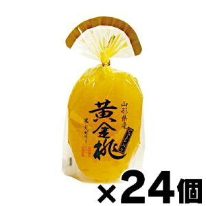 yz T[  ʎ[[@350g×24@4901605805389*24