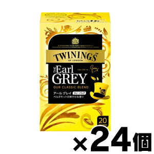 y!z ЉY gCjO eB[obO A[OC 20×24 (񂹕i)@4901305124759*24