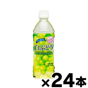 yz TKA ƔԂǂ 500ml×24{ y񂹕iz y6510zis@4902179019448*24