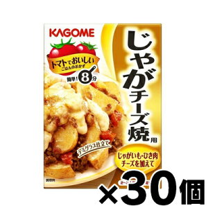 y!z JS Ⴊ`[Yėp 100gx30@4901306024515*30