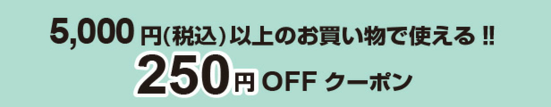 250円ＯＦＦクーポン