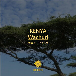 PjA@`@100gA200gA400gA1kg  / XyVeB R[q[  hbv Xg[g  Â ]C ubN    xvh ӂ fukuei coffee@