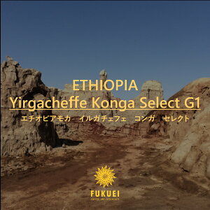 G`IsA J CK`FtF G1@RK@ZNg@100g A200gA400gA1kg / XyVeB R[q[  hbv Xg[g  _ Â ubN    xv
