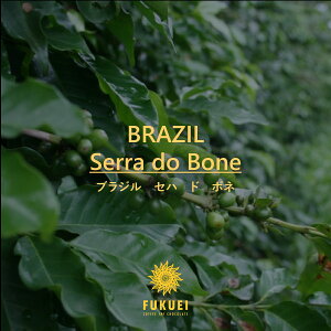 uW@Zn@h@{l@100gA200gA400gA1kg  / XyVeB R[q[  hbv Xg[g  Â ]C ubN    xvh ӂ fukuei coffee