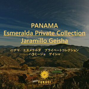 pi}@GX_@vCx[gRNV@n~[W@QCV100gA200gA400gA1kg  / XyVeB R[q[  hbv Xg[g  Â ]C ubN 