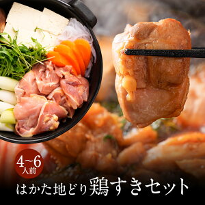 z Mtg v[g nǂ n{ ǂ ͂nǂ {Zbg 4`6lO Yn{ }Ⓚ Ă Ă   O  蕨 Mtg v[g j  