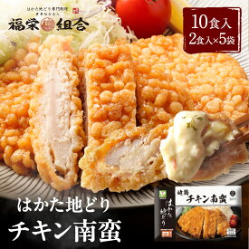 z 新商品！ はかた地どり使用 チキン南蛮 送料無料 地鶏 鶏肉 お得な 大容量 冷凍 博多 福岡 食品 食べ物 ランキング 非常食 非常食セット 長期保存 防災食 保存食