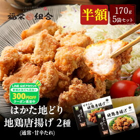 ZS 【衝撃の50％OFF！7,958円→3,979円！】 はかた地どり使用 からあげ 170g × 5袋 プレーン 甘辛 送料無料 唐揚 から揚げ 地鶏 鶏肉 お得な 大容量 冷凍 博多 福岡 食べ物 非常食セット 長期保存 防災食 冷凍食品 ブラックフライデー 御歳暮 お歳暮 歳暮 冬グルメ お年賀