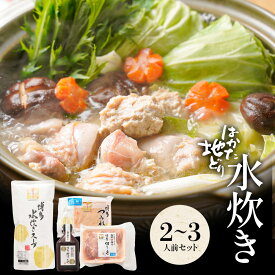 z 水炊きセット 2-3人前 送料無料 水炊き セット 博多 水炊きスープ スープ 鍋 お取り寄せ はかた地どり 福岡 地どり 地鶏 鶏肉 もも肉 ポン酢 グルメ ご当地グルメ 鍋セット