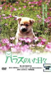 【中古】DVD▼ハラスのいた日々 レンタル落ち ケース無