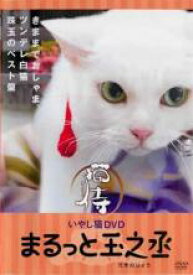 【中古】DVD▼いやし猫DVD 猫侍 まるっと玉之丞 レンタル落ち ケース無