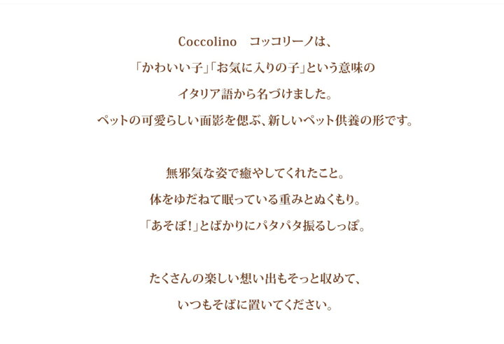 人気上昇中 Coccolino コッコリーノ ペット供養 ワンチョaグレー ハート 意匠登録済 骨壺 仏壇 収納 虹の橋 供養 想い出 仏具 メモリアル 犬用品 ペット用品 Riosmauricio Com