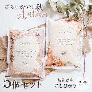 �y�H�f�U�C���z5�Z�b�g �����z�� ���A �e�i �� �M�t�g �V���Y �R�V�q�J�� 3�� 450g �y�f�U�C���m�F�ł��܂��z�H�� ���A��� �]�� �ސE ���� ��i �S���t�R���y ������ �������� ���A�i ��y