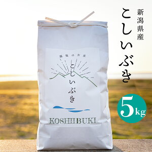 �V���Y �������Ԃ� 5kg ���� ���� �ߘa7�N�Y ���� �Y�n���� �R�X�p��