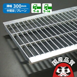 aW O[`O 300mm Ua p aӂ a t^ Ԗ v[^Cv a 300p T-6` T-14 OKU-M5 30-32 { 쏊 I[P[O[`O [₢킹pԍ R268]